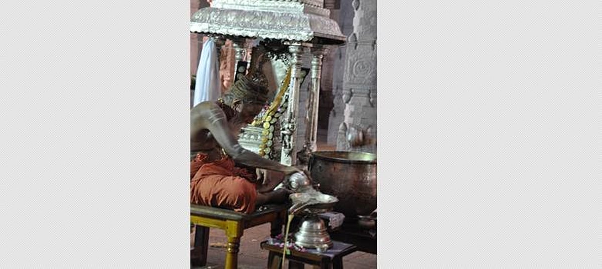சிதம்பரம் அருகே வடிகால் வாய்க்காலில் பிடிபட்ட முதலை!